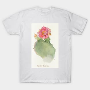 Beavertail cactus - Botanical Illustration T-Shirt